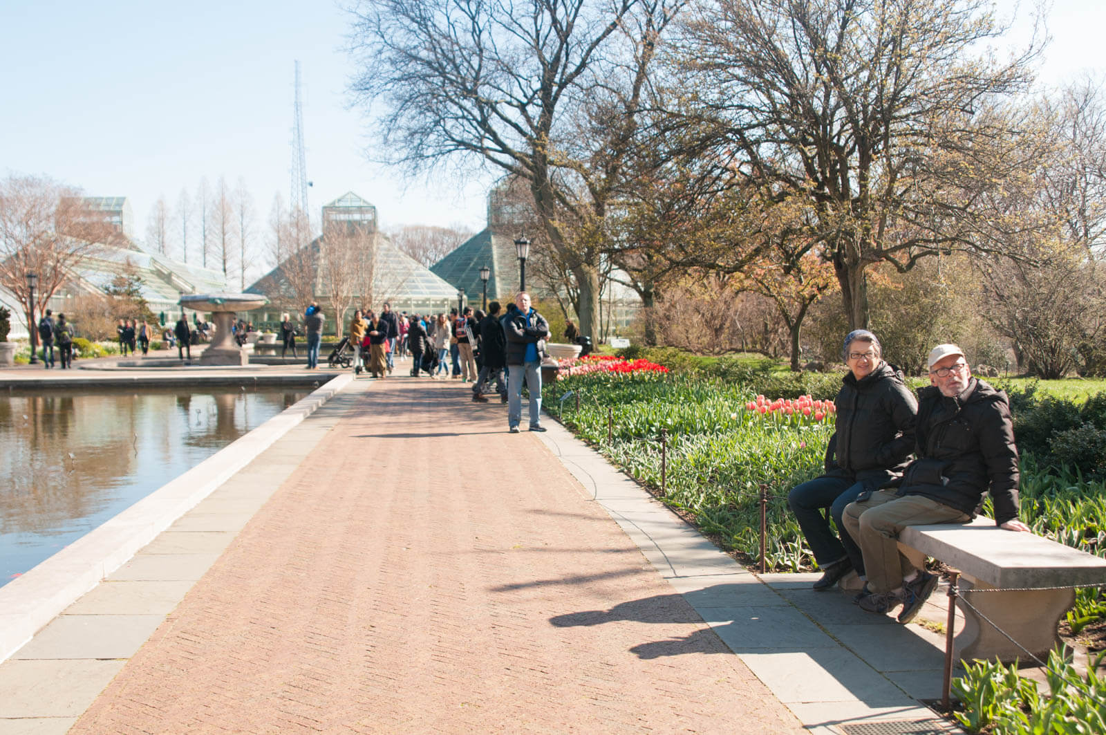 Brooklyn Brotanic Garden Spring 2016