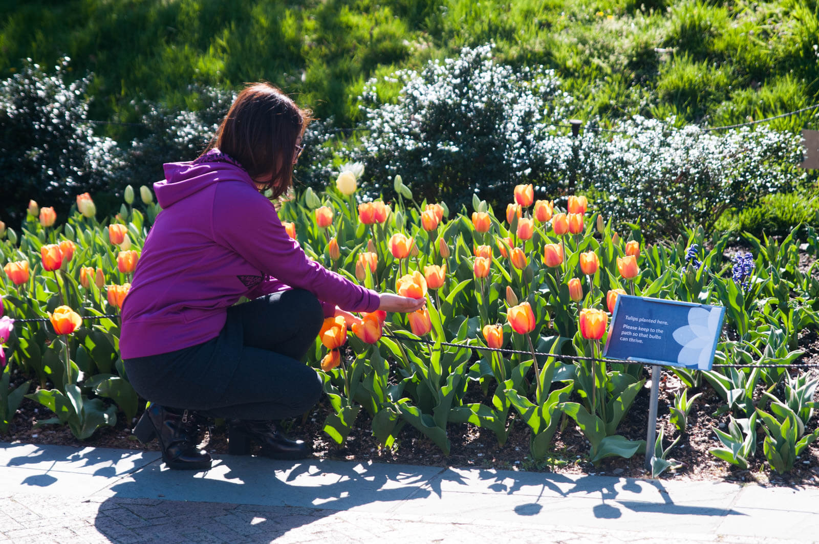 Brooklyn Botanic Garden Spring 2016