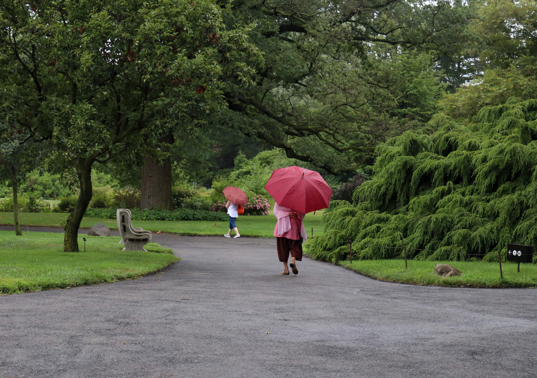 brooklyn botanic garden