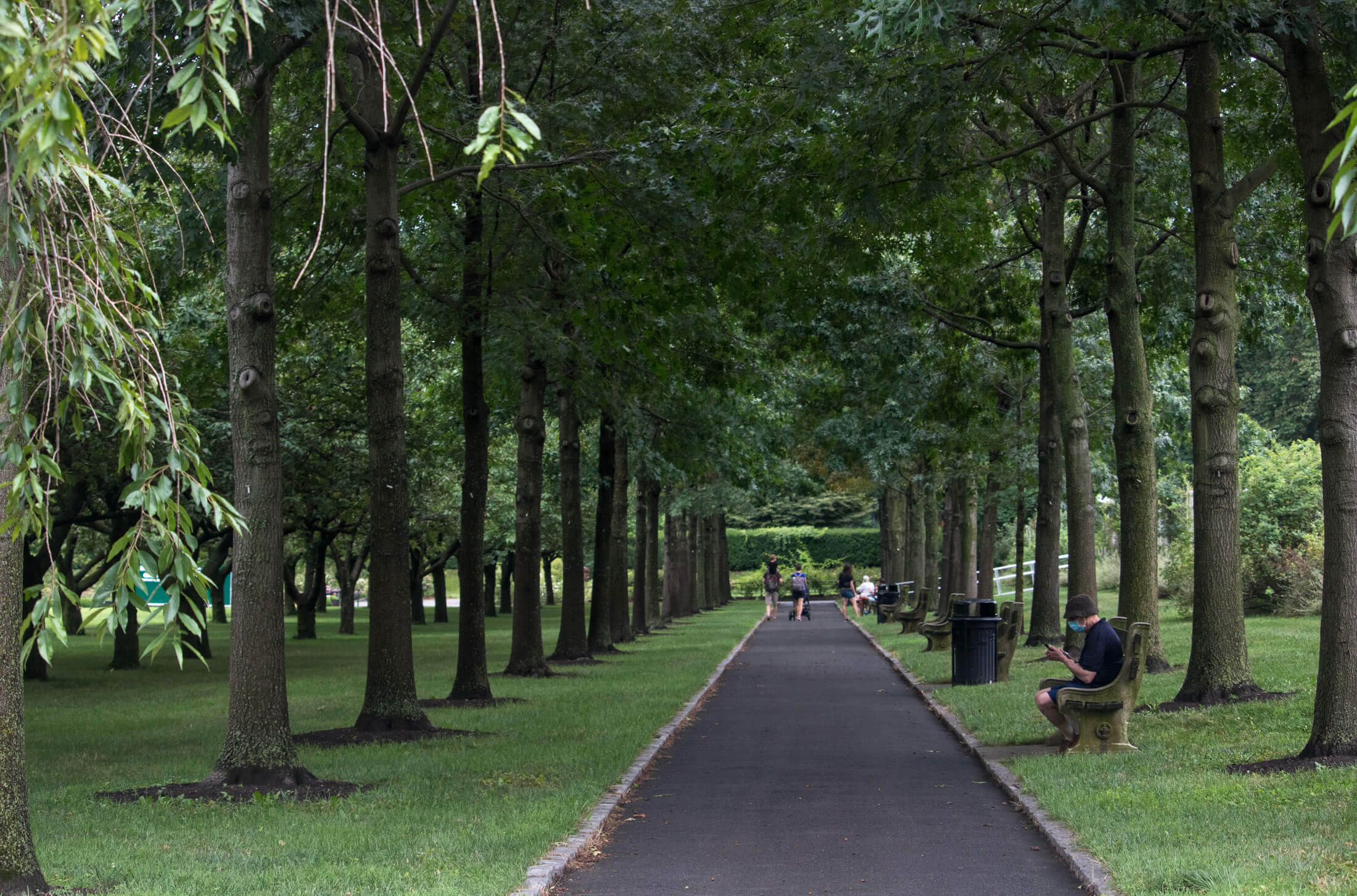 brooklyn botanic garden