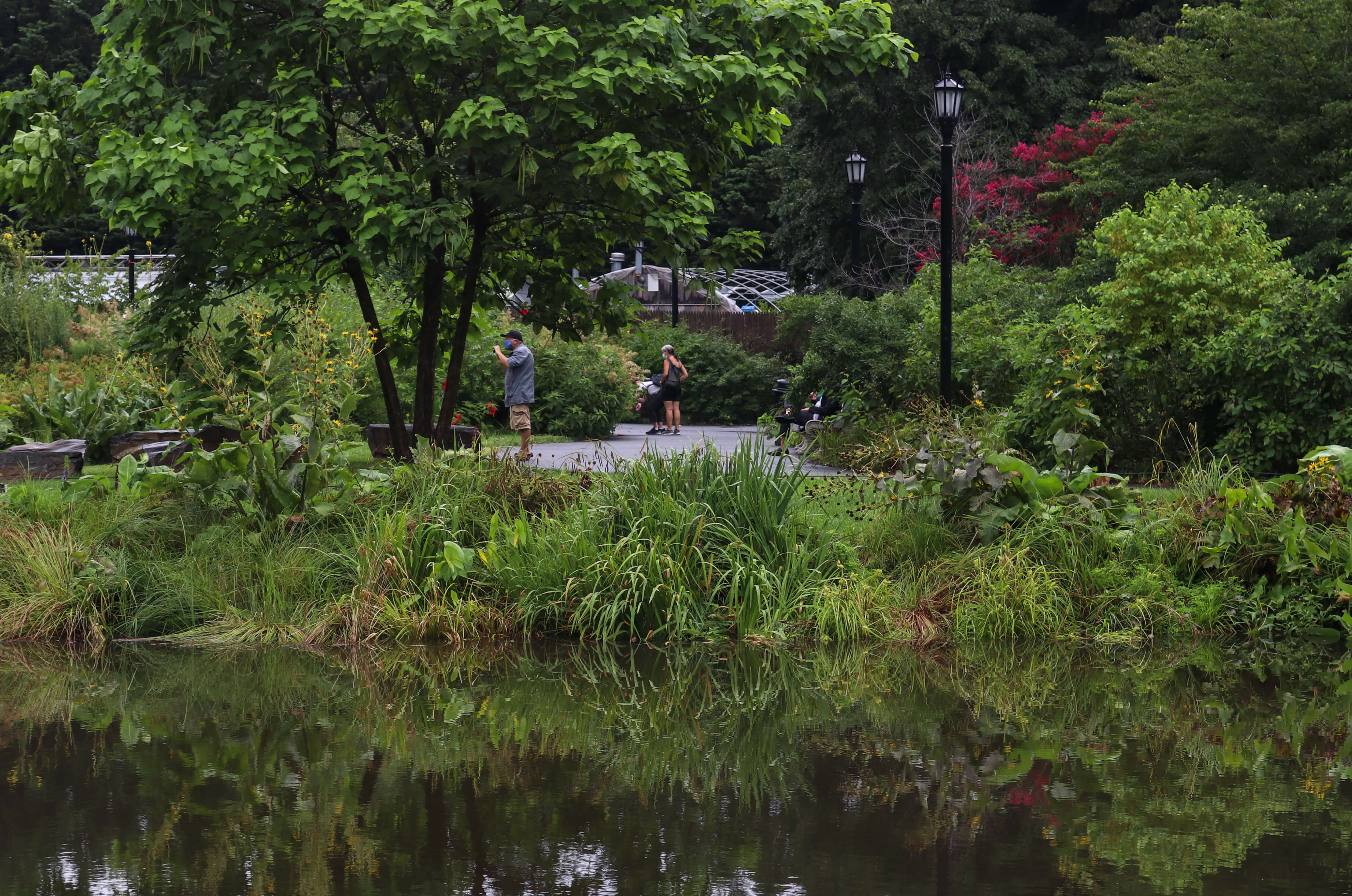 brooklyn botanic garden