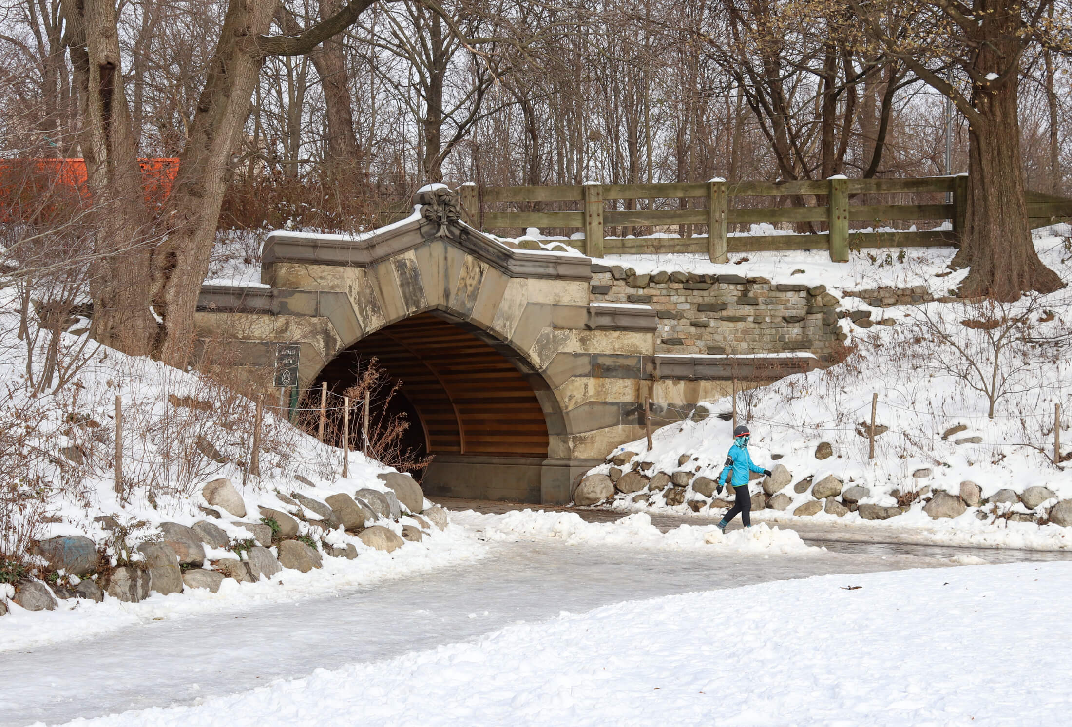 prospect park in the snow