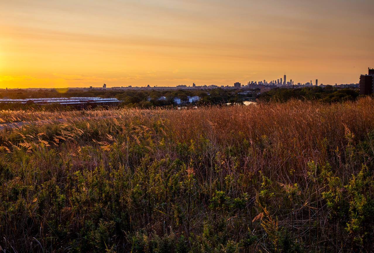 shirley chisholm state park