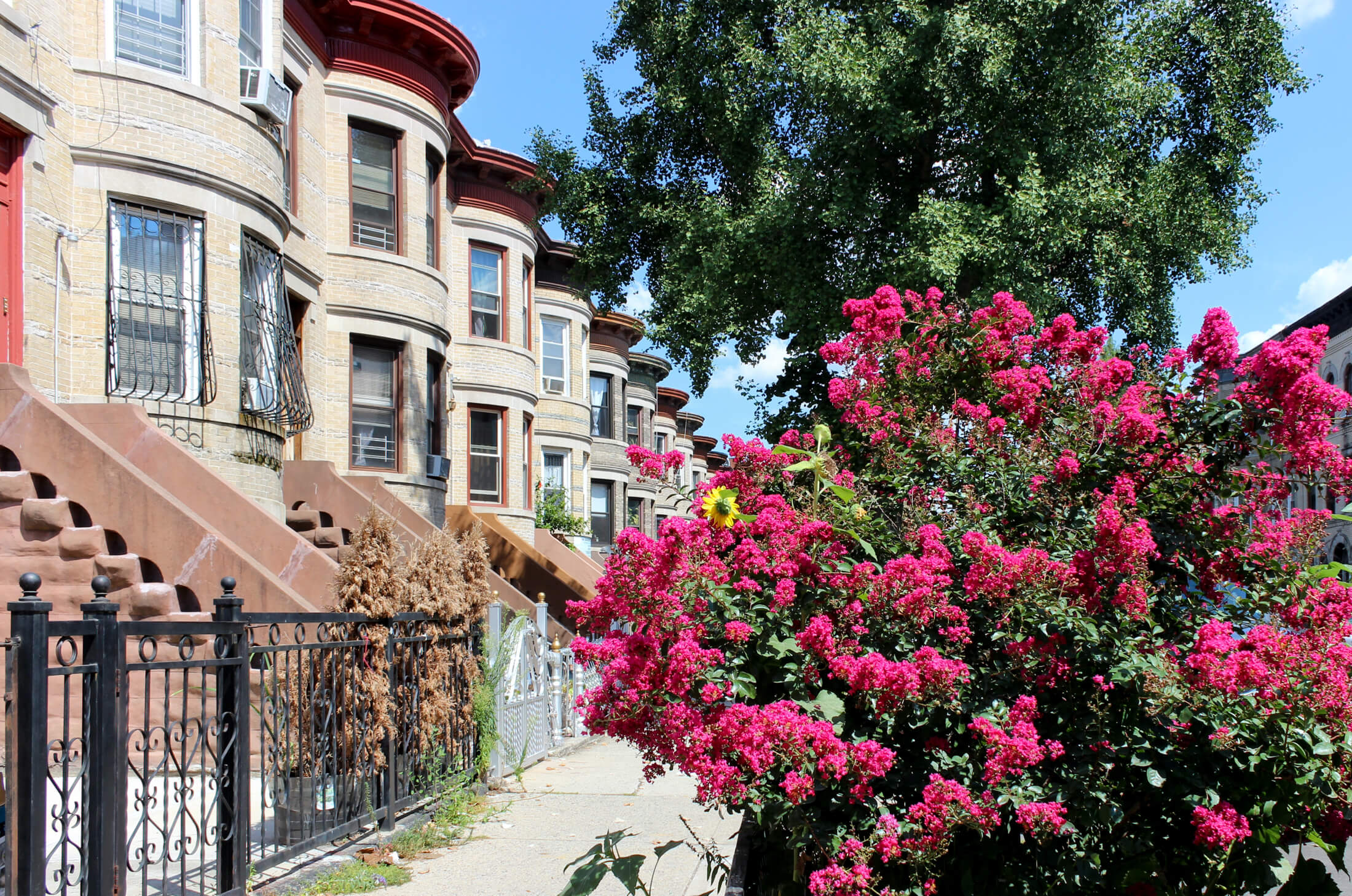 bed stuy brooklyn houses