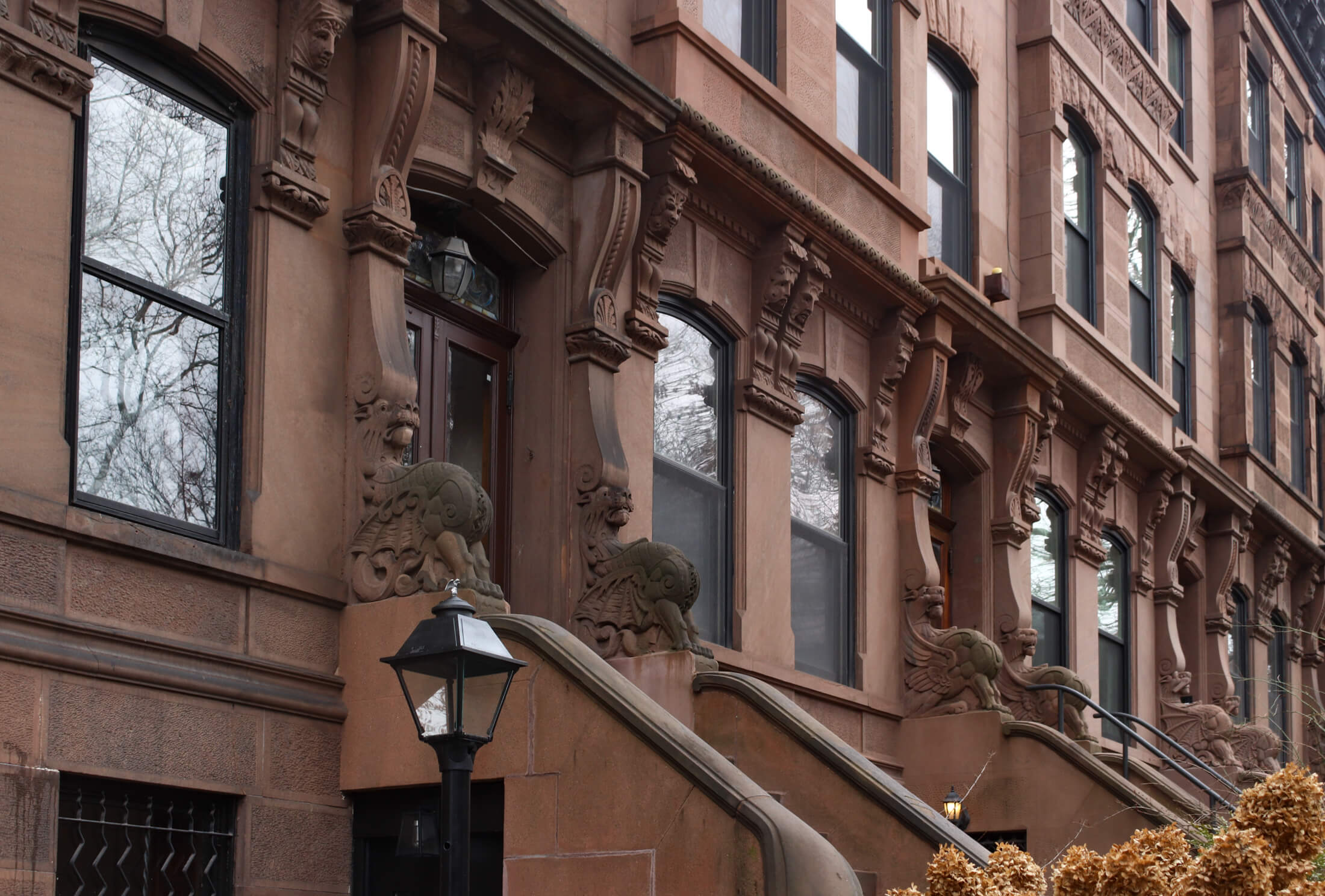 stoops of park slope brownstones