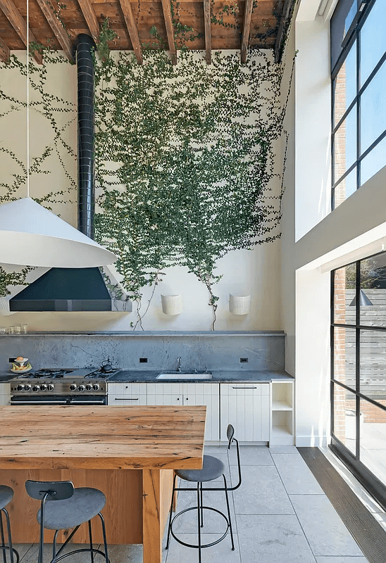 kitchen with wall of glass and plants growing on walls