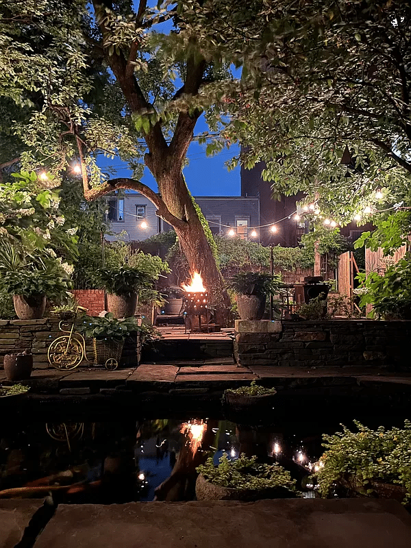 the rear yard at night with reflections in the pond