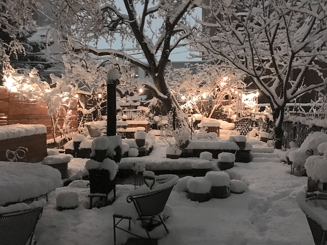 the rear yard covered with snow