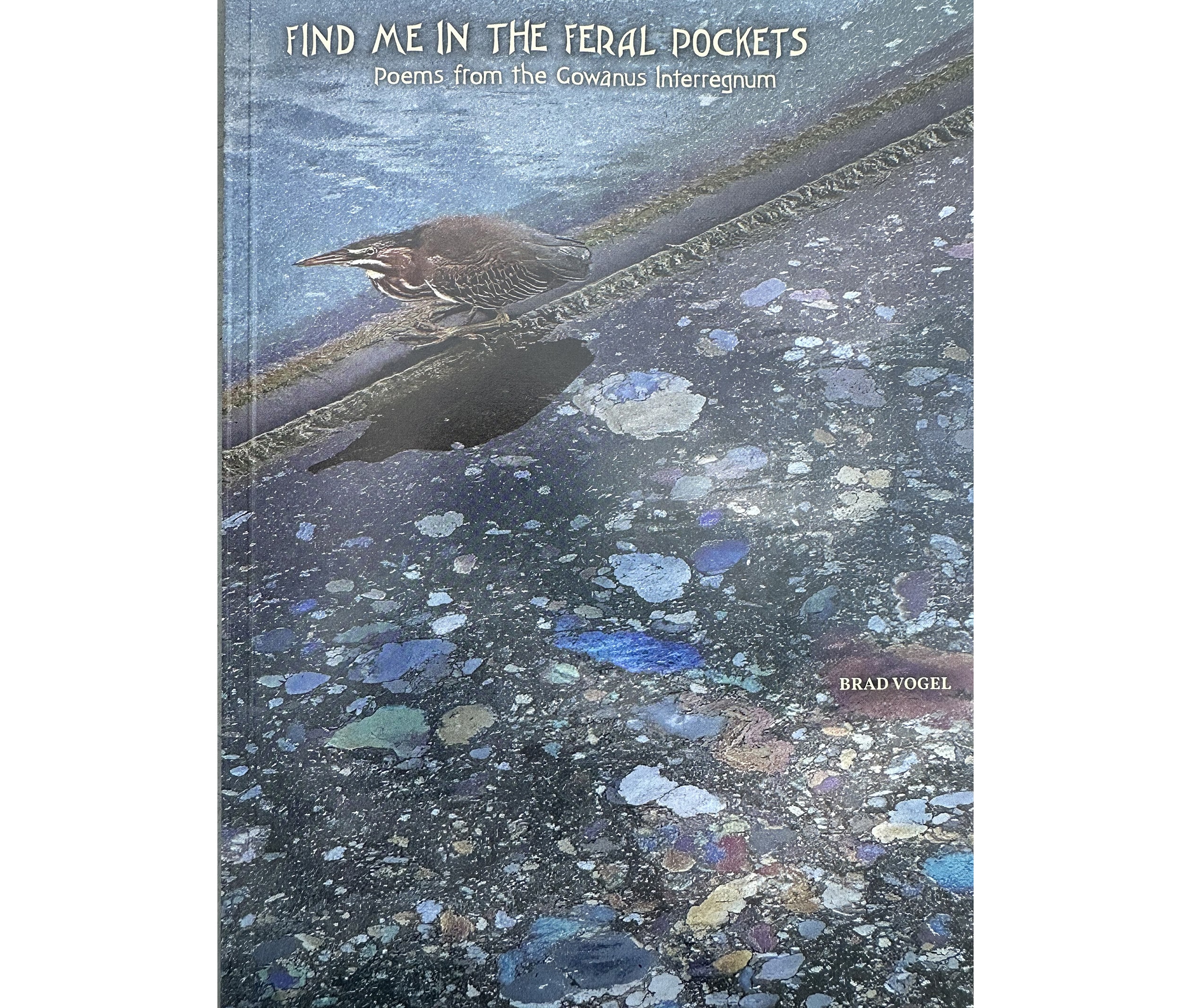 book cover with watery illustration