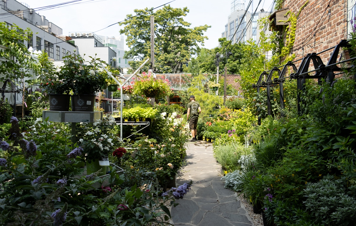 outddoor garden section  with plants being watered