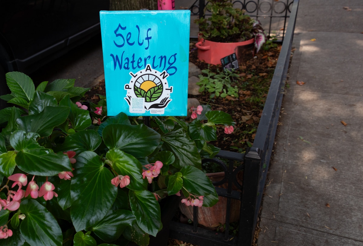 self watering sign in a tree pit