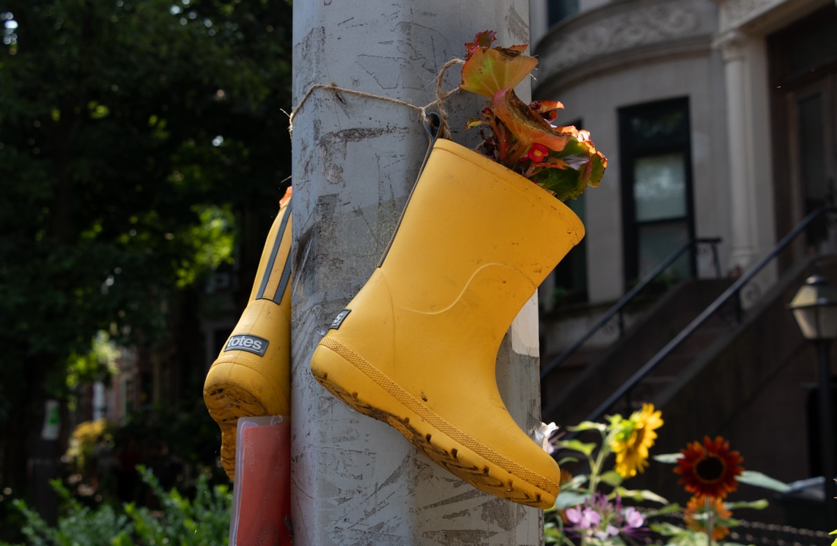 small rubber boots with begonias planted in them