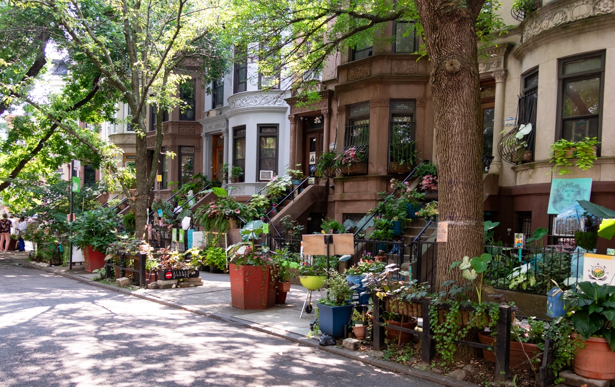 row of houses with planters