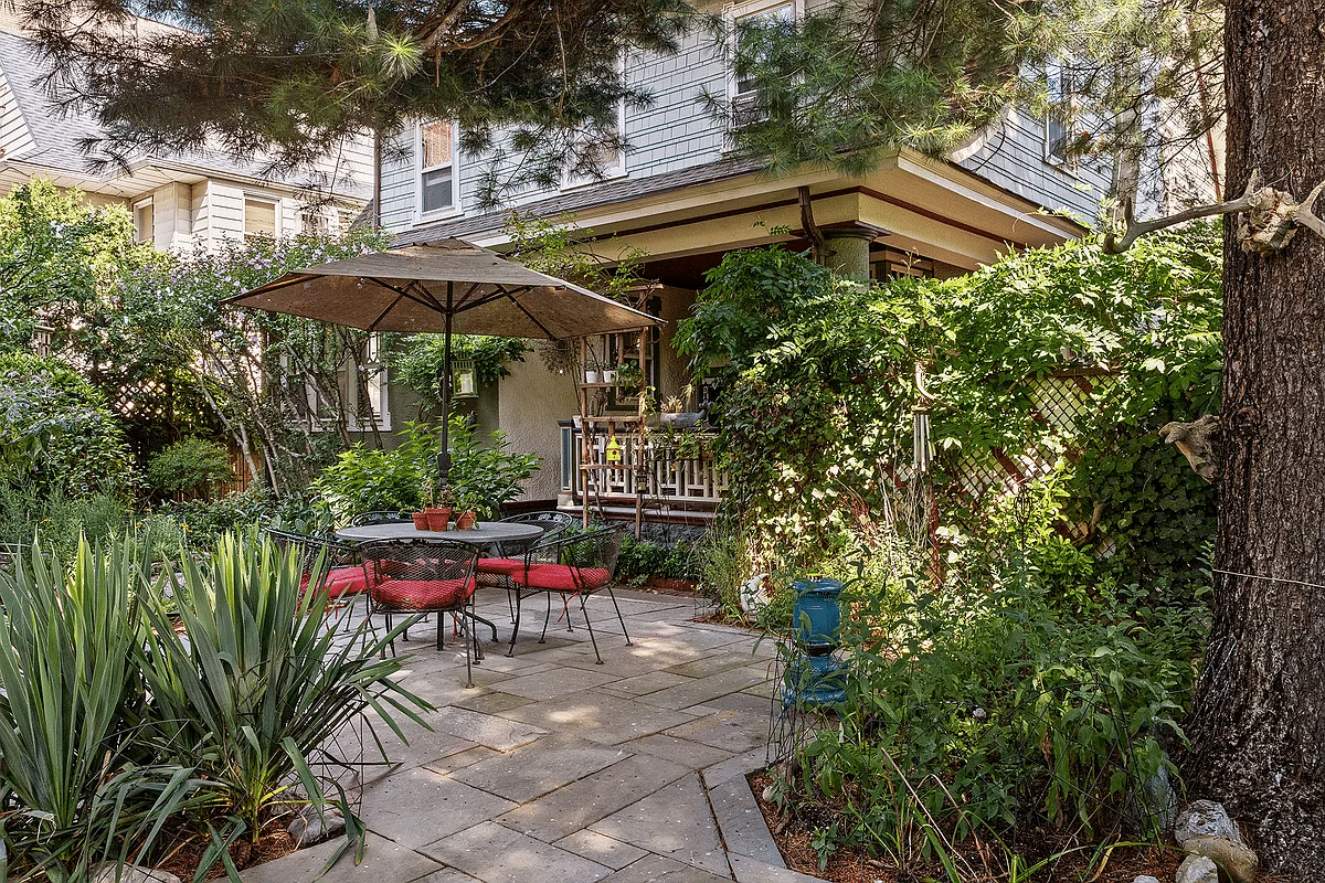 paved patio surrounded by plants