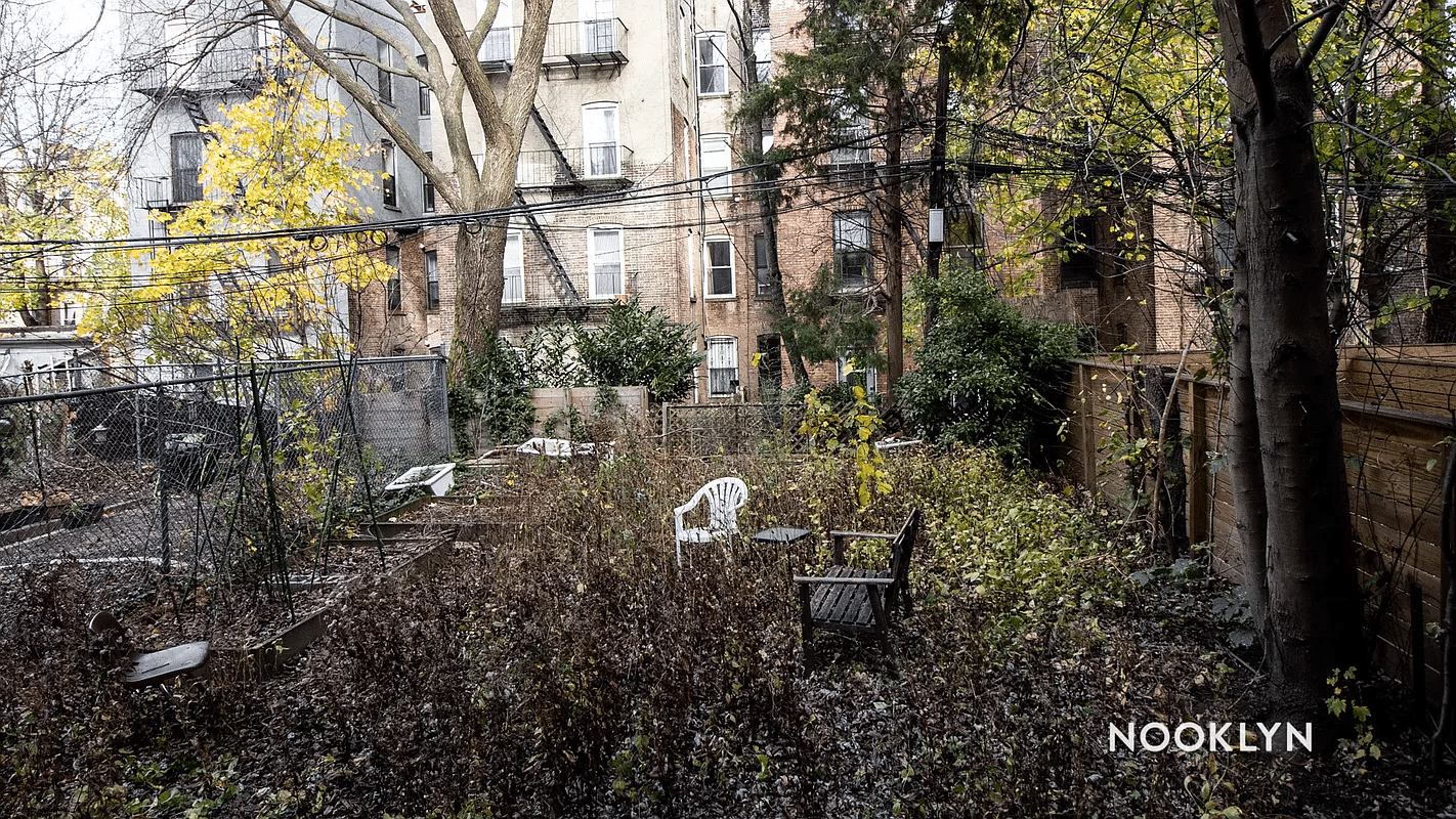 overgrown rear yard with trees