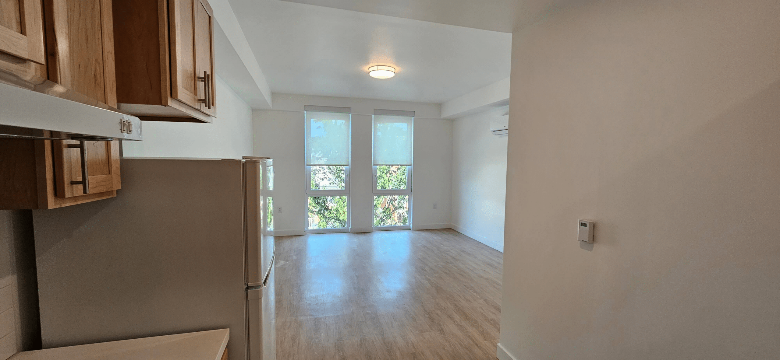 living room with wood floor, mini split unit, and two windows