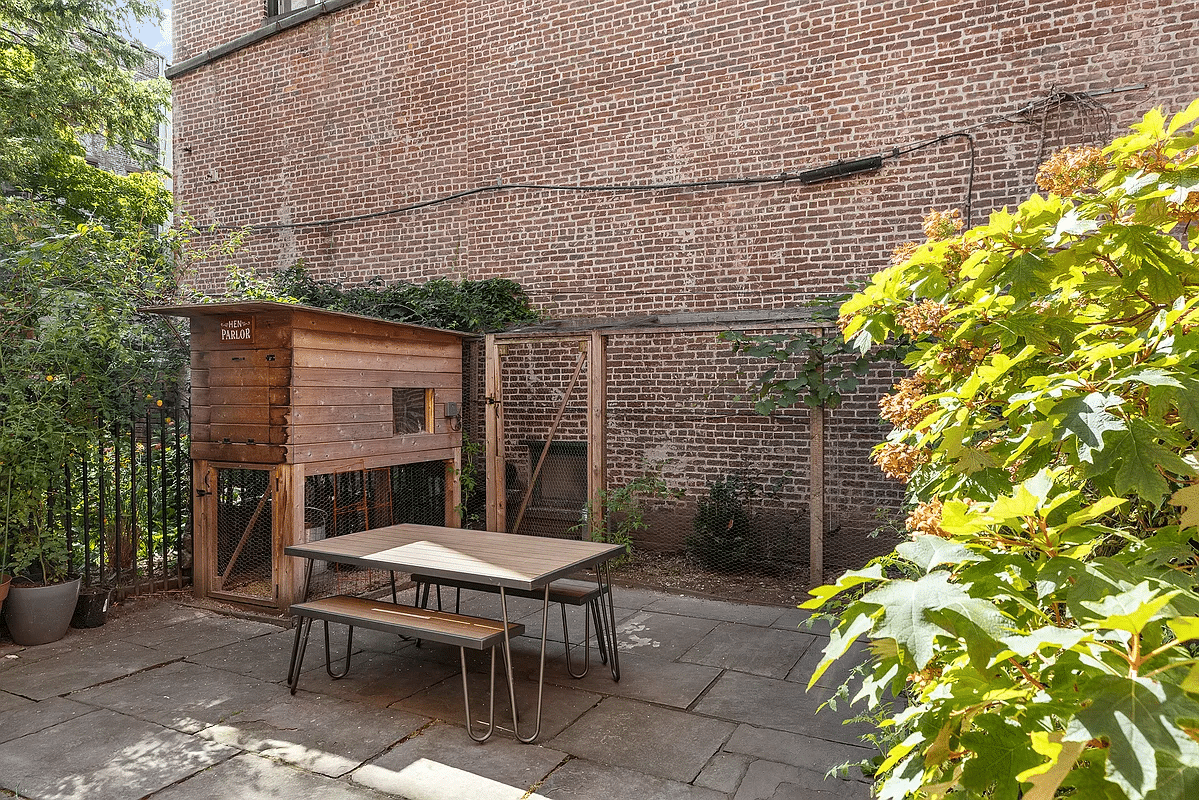 rear yard with a chicken coop in a paved patio area