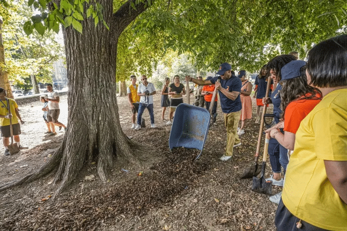 mayor adams places mulch under a tree while others look on