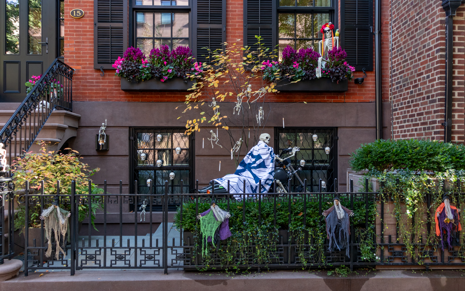 brooklyn - a brooklyn heights front garden decorated for halloween with skeletons