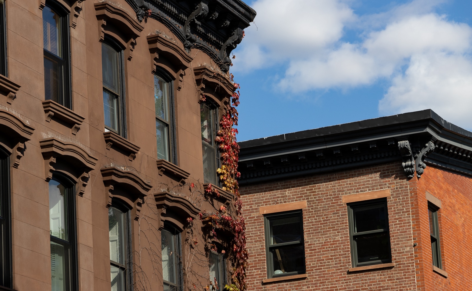 brooklyn - fall colored vines on a brownstone in clinton hill