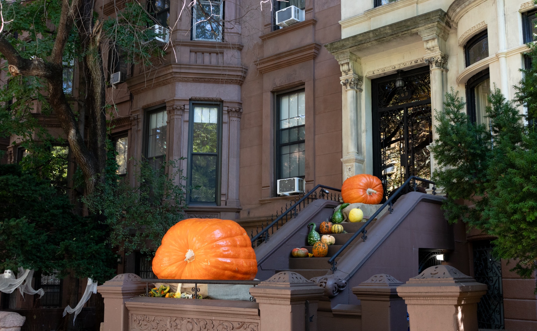 brooklyn - a giant pumpkin on a park slope stoop