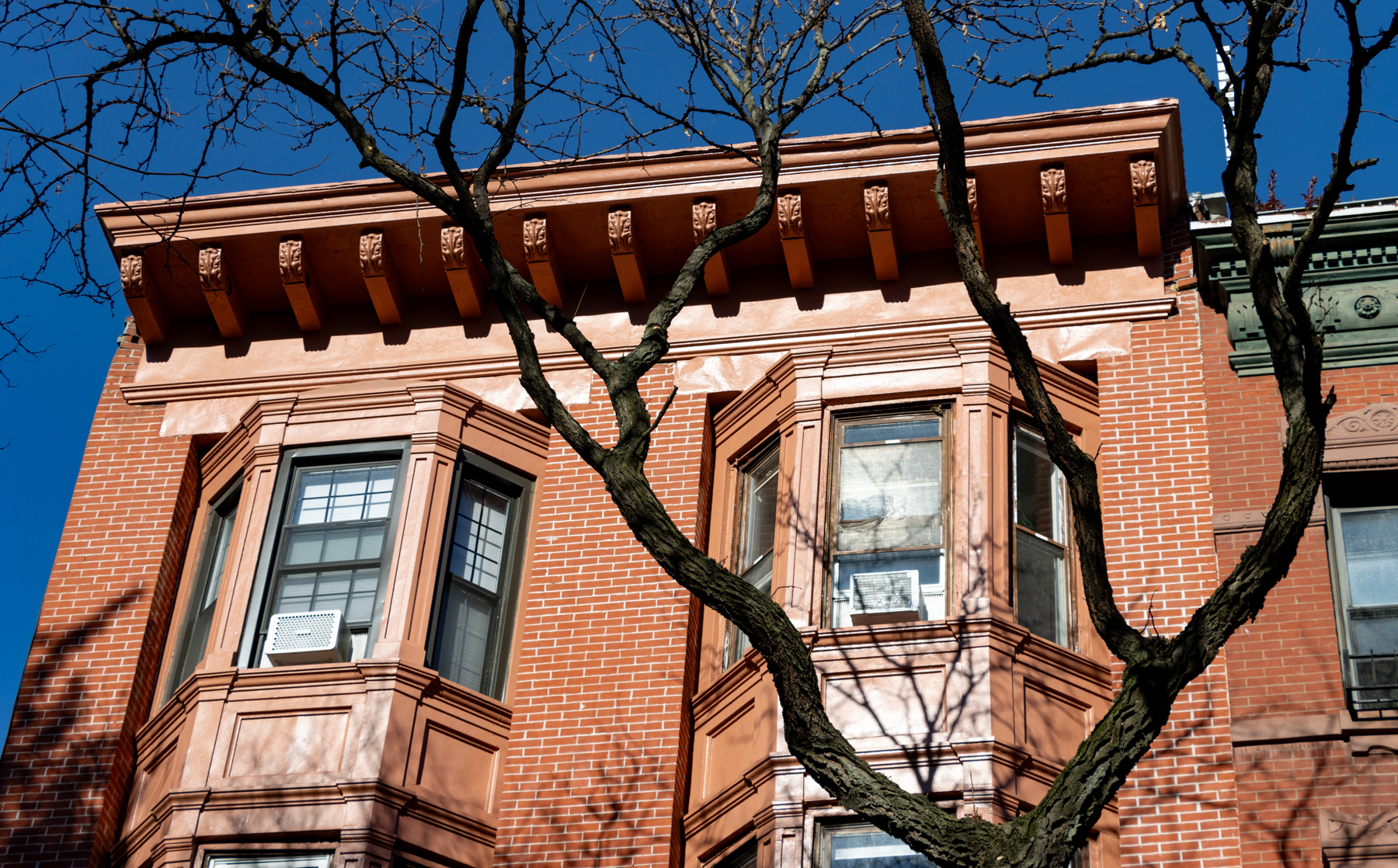 brooklyn - a leafless tree in front of a building with a bracketed cornice in boerum hill