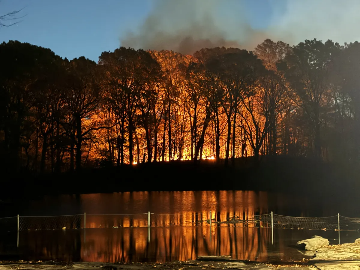 prospect park fire