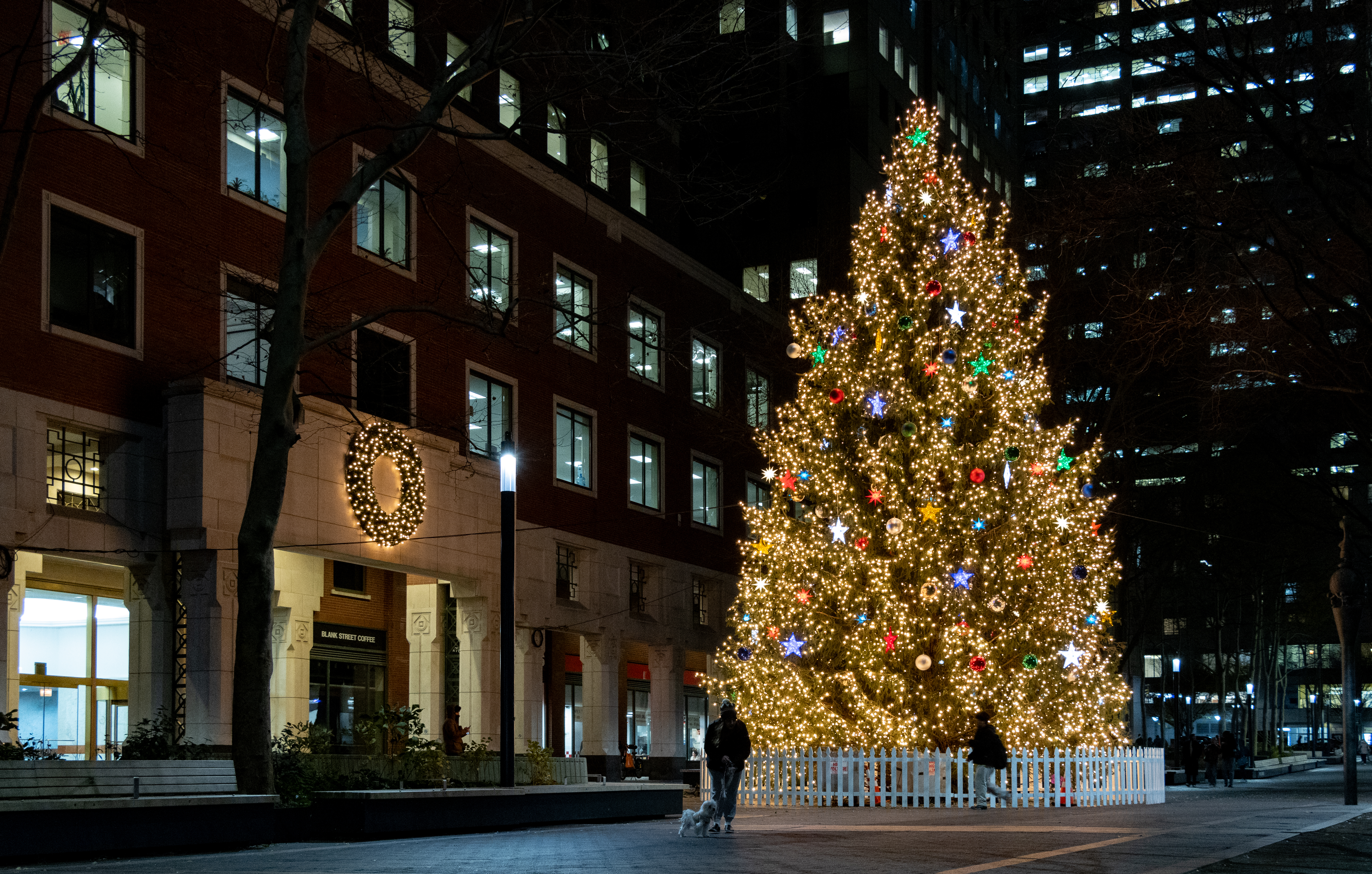 brooklyn - christmas tree in downtown brooklyn